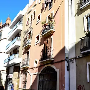Alohamundi Campana Séville