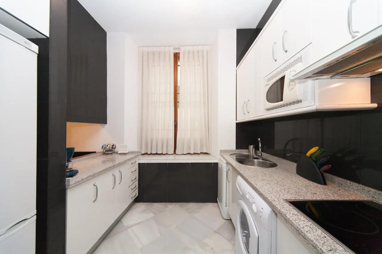 La Casa Del Conde De Gelves Apartments Σεβίλλη